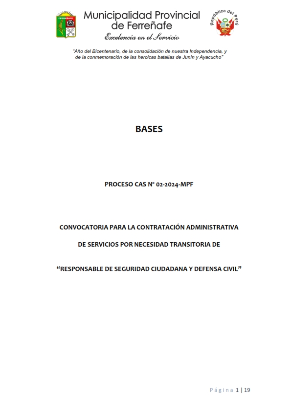 Vista preliminar de documento 2024-BASES-CAS-02-2024-RESP-SEGUR CIUD Y DEFEN CIV