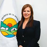 Liliana Antonieta Loayza Manrique De Romero