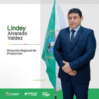 Lindey Alvarado Valdez