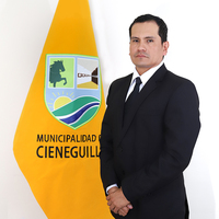 Luis Ferroel Gamarra Romero