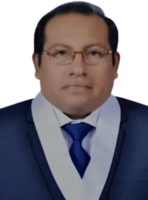Elmer Castillo Rivera