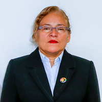 Luzmila Soto Navarro