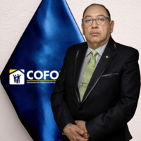 Anibal Martin Soto Figueroa