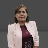 Graciela Del Carmen Orbegoso Flores