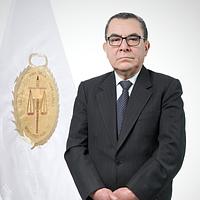 Francisco Javier Arista Montoya