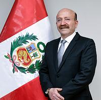 Marlon Raúl Savitzky Mendoza