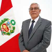 Gilbert Fernando Vallejos Agreda