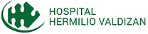 Logotipo de Hospital Hermilio Valdizán