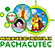 Logotipo de Municipalidad Distrital de Pachacutec
